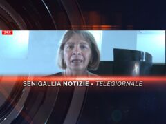 senigallia notizie telegiornale