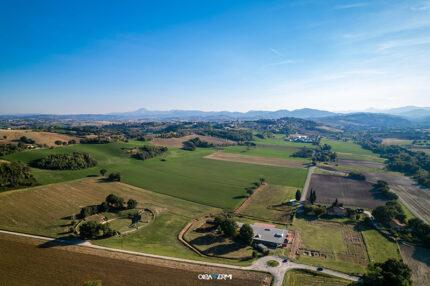 Parco Archeologico di Suasa