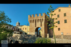 Fioritura di Agave sotto la Torre Malatestiana - Foto Tommaso Allegrezza