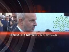 senigallia notizie telegiornale