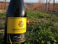 Bolla IX - Spumante Brut Cantina Mastai Ferretti