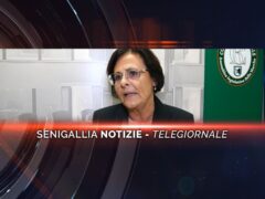 senigallia notizie telegiornale