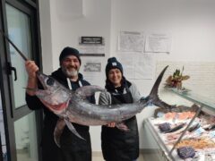 Pescato e Mangiato - Pescheria a Senigallia