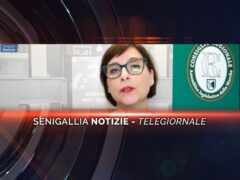 senigallia notizie telegiornale