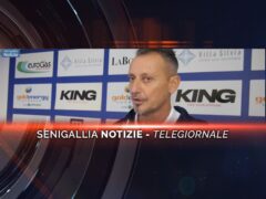 senigallia notizie telegiornale