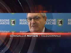 -senigallia notizie telegiornale