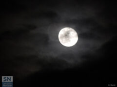 Luna di metà gennaio - Foto Rossano Morici