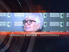 senigallia notizie telegiornale