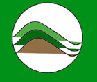 bandiera verde